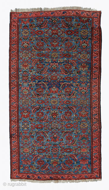 Bakshaish Rug Circa 1880’s Size:111x205 cm Halilaydinrugs@gmail.com                          