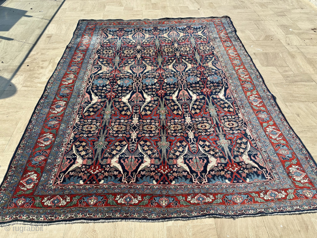 Garrus design Bidjar Carpet Size: 300x390 cm
Please contact directly. Halilaydinrugs@gmail.com                       