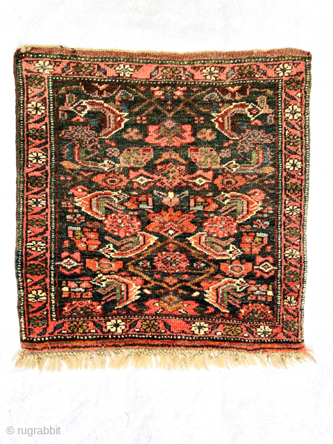 Bijar small Rug circa 1880 wool on wool all good colors and perfect condition size 53x51Cm Please Contact this email for more information. 
hamidparsacarpet@yahoo.com         