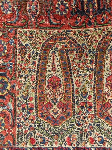  Senneh wagireh fantastic color and design-1870 circa,size70x60cm                         