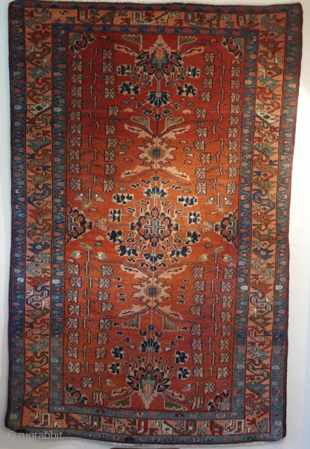 Late 19th cent.,  full pile,  near perfect Mehraban,  'Queen of the Hamadans'.  Natural dyes.  Professionally washed.  
49" x 66" (134 cent x 167 cent)   