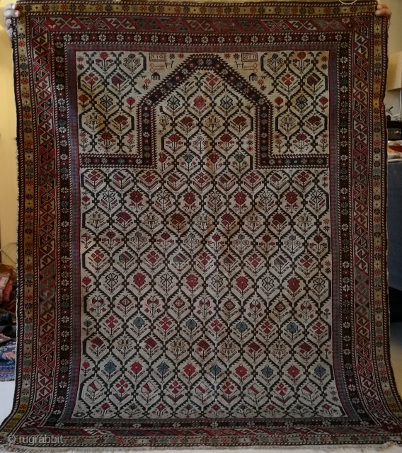 antique shirvan marasali prayer size 146x116cm circa 1900                         