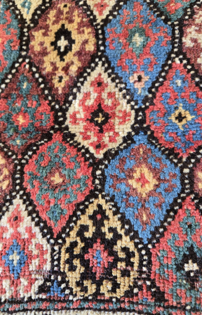 Kurdish bagface with unmistakable individuality. (Thanks to John Batki for the turn of phrase.)
More and better photos can be sent by email.
