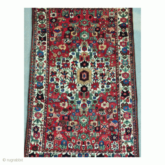 Vintage Persian Bakhtiari Rug 
Waved by Bakhtiari nomads
Circa 1900
Very good original shape
Wool pile on cotton foundation 
8.9x5.6 ft - 267x168 cm
            