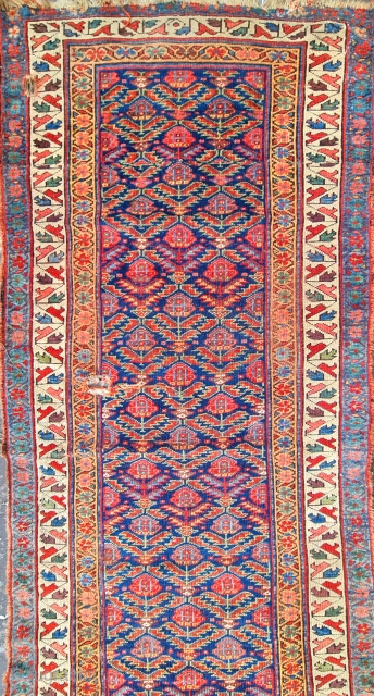 Size:100x380cm ,
Kurdish carpet .
                             