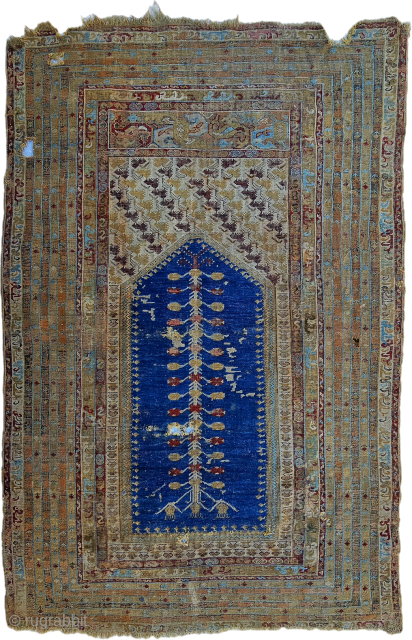 arisoylarmobilya@gmail.com
Size ; 125 x 178 cm
Pre 1800
West anatolia / Kula
Transylvanian Rugs
Transylvanian Rugs is the name given to the carpets, the majority of which were produced in Western Anatolia (during the Ottoman Empire  ...