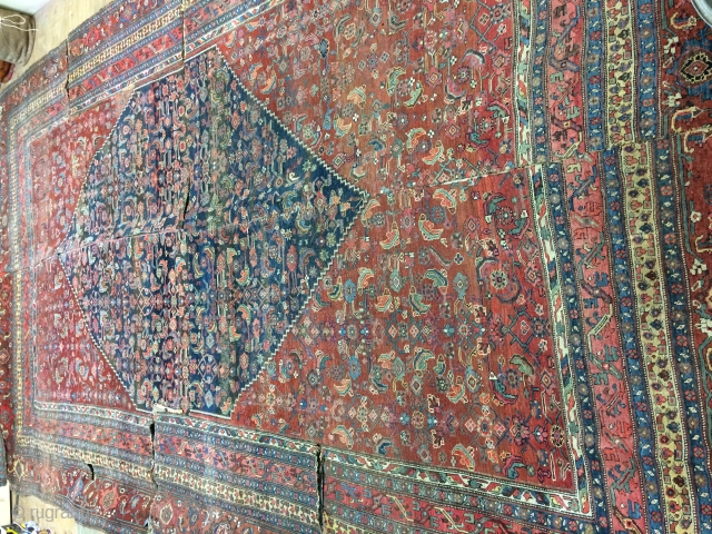 Antique bijar rug,around 90 years old,cutoff,size:530cm by 327cm                         