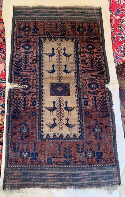 Baluch Sofreh with birds on camel ground.
Contact: antiquerugs@comcast.net
Size: 32"X58"                        