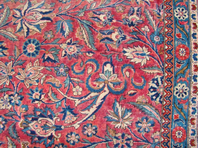 Kashan Carpet with cloudbands, 11'X16' 335X488 cm All intact with wear in the field and pet stain in the corners.             