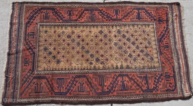 Camel field Baluch rug. Soft and floppy. Size: 2'9"x4"8"....84X142 Cm.                       