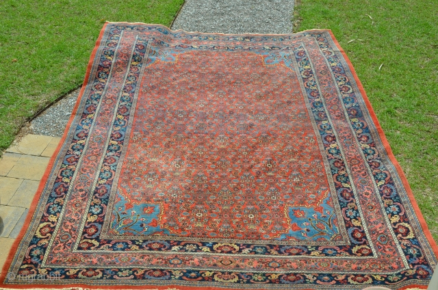 Very nice Bijar, circa 1900, great colors, excellent condition.  Just cleaned, ready for the floor.  Measures 9'3" x 12'11".            