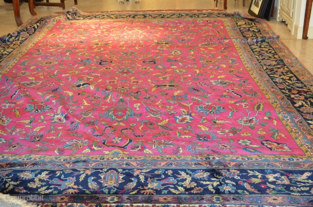 Indo Kashan carpet, 11' x 15', beautiful magenta field. Nice silky feel.  Circa 1900.                  