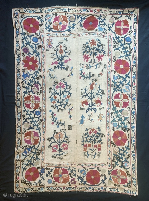 A lovely antique Uzbek silk suzani from 19th century rural Bukhara. It has fine polychrome silk chain-stitched embroidery on a cotton ground known as Karbos. The floral design is arranged in a  ...