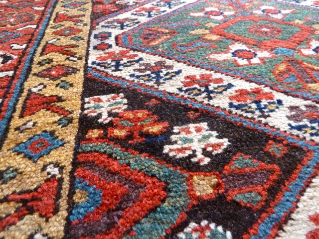 Fabulous wool and colours! A mid-19th Century Kurdish rug. Please ask for more details.                   