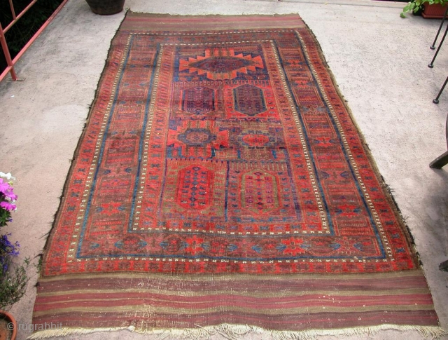 Timuri Baluch Main Carpet, 19th century, excellent condition with no repairs.
10'0" x 5'7"                    