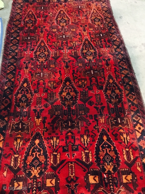 Baluch rug                               