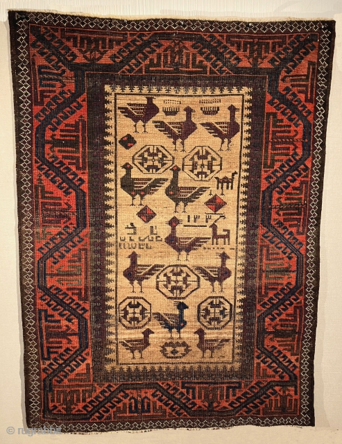 Antique Khorasan area Baluch rug with large birds on a natural camel hair field. All dyes in the rug are natural with a very saturated deep aubergine is that quite nice. This  ...