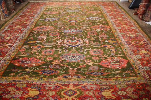 Antique Ziegler & Co carpet 324 x 412cm / 10'8" x 13'6"
Perfect condition
See it at LARTA 24-29 January at the Battersea Decorative and Antique Fair.
LARTA.net exhibition online
      