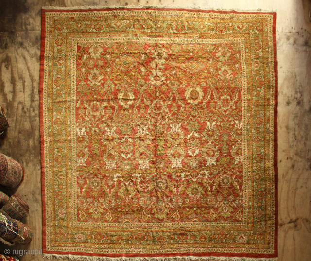 Antique Fine Ziegler & Co carpet 239 x 245cm / 7'10" x 8'0" in perfect condition                 