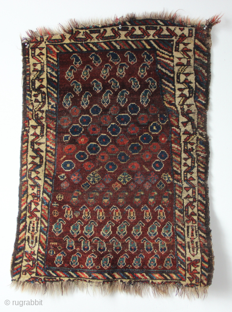 Tiny Khamseh rug, with natural dyes, glossy wool and a great drawing. Very charming in its naïveté.
60 x 86cm / 2'0" x 2'10"          