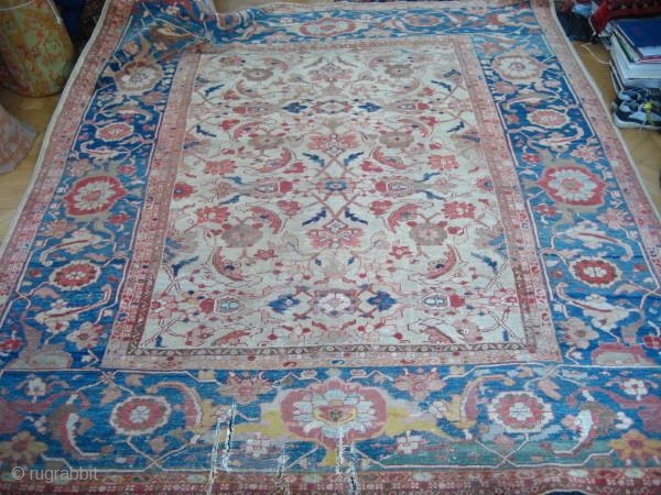 Ziegler carpet                               