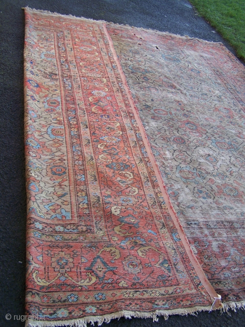 Ferraghan carpet- one of a couple of pieces I have recently acquired from an old country house in the North-East of England, though living where I do the sun doesn't reach the  ...