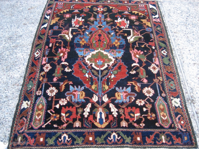 Bahktiari directional design rug 4' 9" x 6' 4".

At least I think it's a Bahktiari - I'm open to suggestions...  Whatever it is, it's wild!  Vivid color and a design  ...