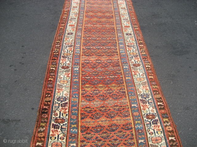 Kurd Bidjar Runner, 3' 2" x 14' 4" overall.  Width varies to maximum of about 3' 4".  Wool-on-wool construction. Probably late 19th or early 20th century.  Edges and ends  ...