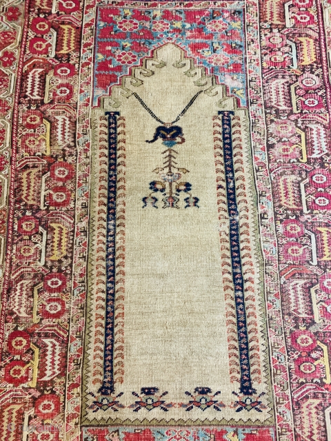 An absolutley impeccable and fantastic 19Ca Gordes Prayer rug.
Great colors and in original condition with sound selvages, no holes, no rips, no repairs. Amazing. 7'11"x4'3"        