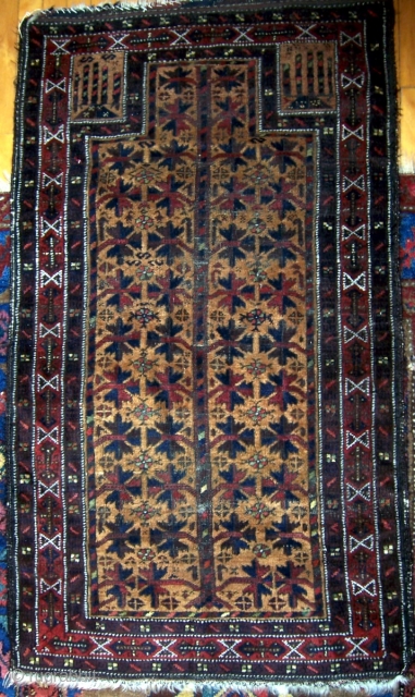 Baluch prayer rug, 30"x54".  More colors than is typical with interesting hands and main border.  Areas of wear.  Please check out my other listings. For more photos see http://picasaweb.google.com/joseph.beck/RugsForSale# 