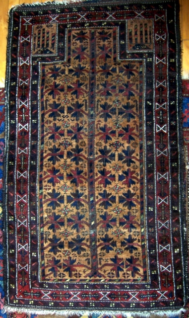 Baluch prayer rug, 30"x54".  More colors than is typical with interesting hands and main border.  Areas of wear.  Please check out my other listings. For more photos see http://picasaweb.google.com/joseph.beck/RugsForSale# 