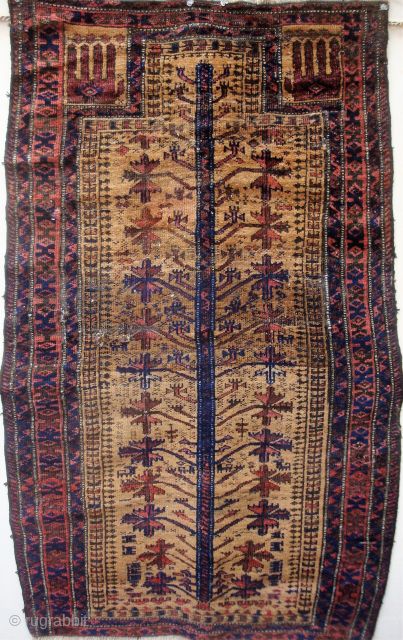Antique Baluch prayer rug with unusual features, 32 x 51 inches. USD 275.- including shipping in the U.S.  jbatki@twcny.rr.com             