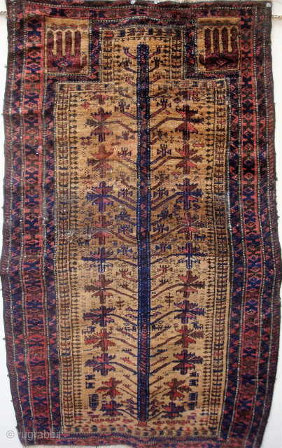 Unusual Antique 19th century Baluch prayer rug with up-curving branches, 32 x 51 inches. --Inexpensive -- please inquire johnbatki@gmail.com              