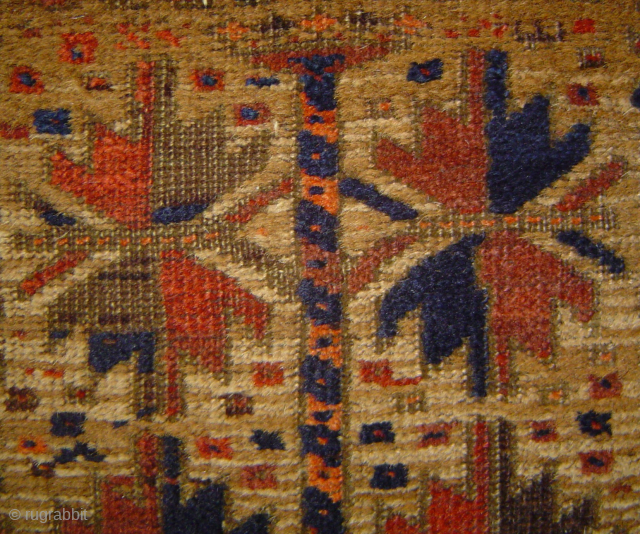 Classic 19th century Antique Baluch 3 Trees on Camel field prayer rug, 31 x 51 inches, in very good condition. -- please inquire johnbatki@gmail.com         