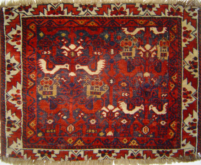 Outstanding Khamseh(?) Bird bagface. -- Please email johnbatki@gmail.com                         