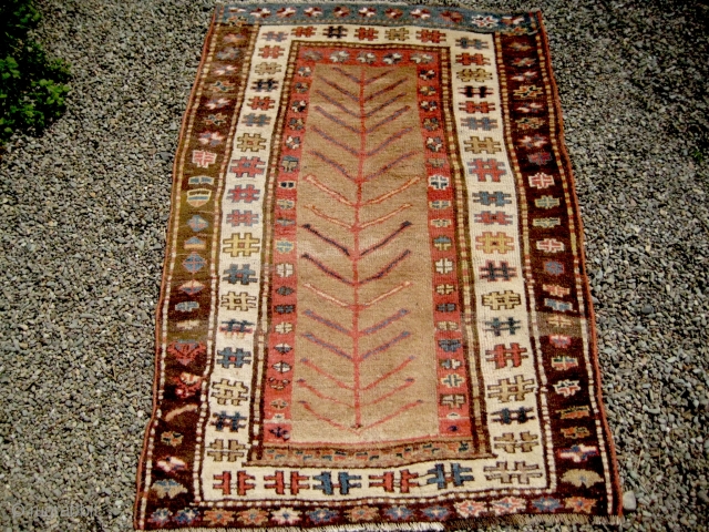 Rare Kurdish, gabbeh-like, tree-of-life rug. Soft and supple handle; some end losses; restoration in middle section. Sides rebound. Natural colours as far as I can make out; late 19th or early 20th  ...