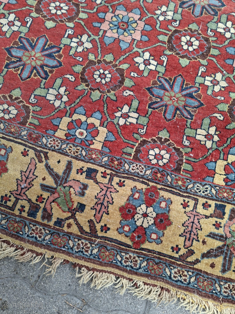 Bidjar size 270/150 cm                             