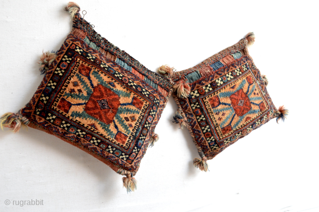 Wonderful antique Afshar tribe once upon the time vanity bags and now decorative diminutive cushions .. beautiful colours and wool