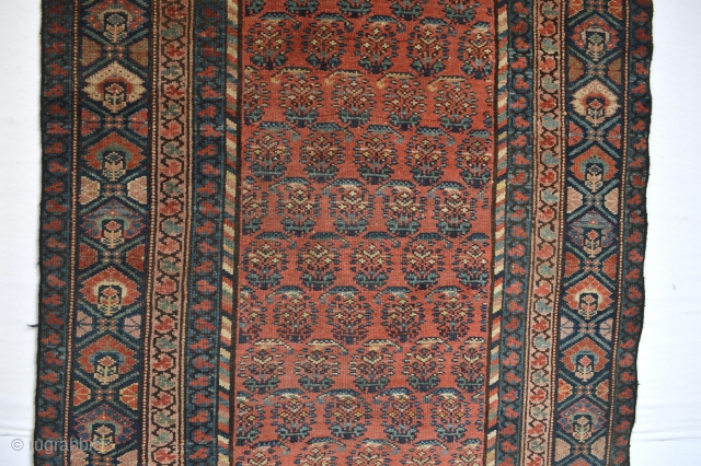 Wonderful antique North West Area Kurdish Runner or long rug … great so called boteh  or shawl pattern…
With beautiful natural colours and uniformly low pile  great character 1900-1920 period 
Missing  ...