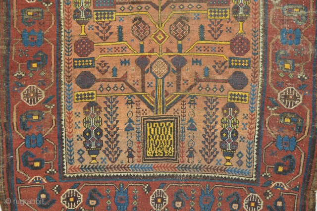 Beautiful and Colorful Early Sistan Area Baluch Rug with All natural dyestuffs Gorgeous open Border 
Specialy Rich used yellow from The willow Leaves... Check the Eclectic Drawn see  the symbols and  ...