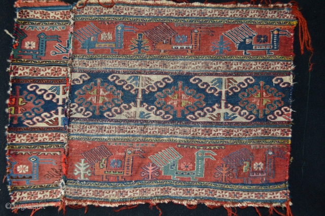 Fresh Coming Antique Shahsavan ebay item size 67 x 48 cm http://www.ebay.com/itm/-/111720282322?ssPageName=STRK:MESE:IT
                     