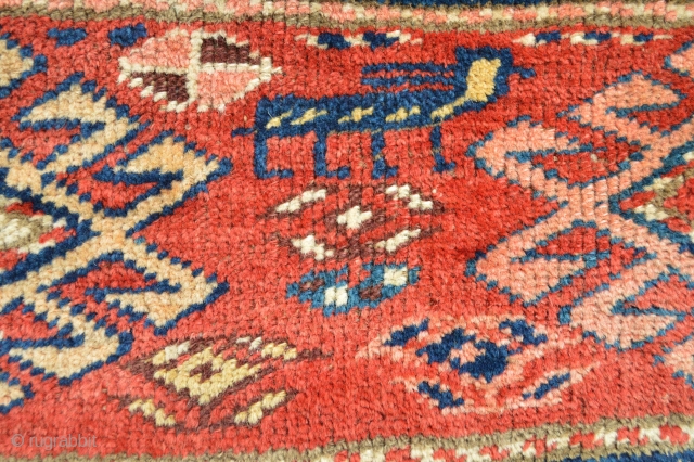North west , end 19th century piled mafrash panel Shahsavan or kurdish?
106 x 42 cm all natural colors and top qualty meaty wool...
more picture available.        