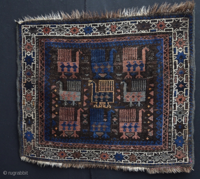 Fabulous Old Baluch Bird bagface with colorful design
                         