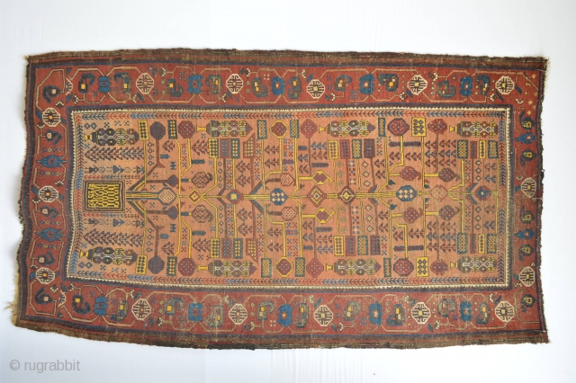 Beautiful and Colorful Early Sistan Area Baluch Rug with All natural dyestuffs Gorgeous open Border Specialy Rich used yellow from The willow Leaves... Check the Eclectic Drawn see the symbols and the  ...