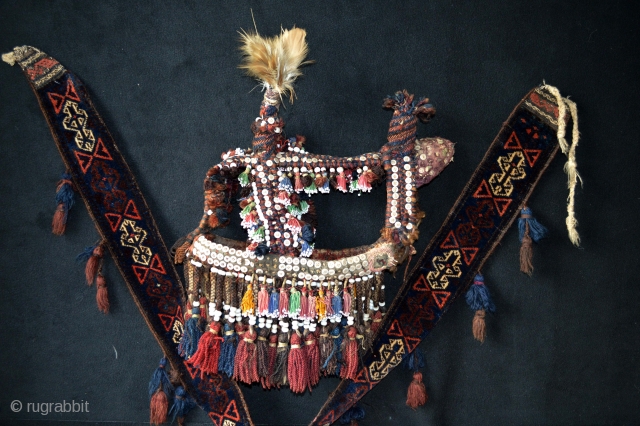 Beautiful Antique  Original Ethnografic Camelhead Trapping from one of the Baluch Tribes .Neck trapping is also available. Circa 1900. Nice original feather with many antique shell buttons and original tassels. Good  ...