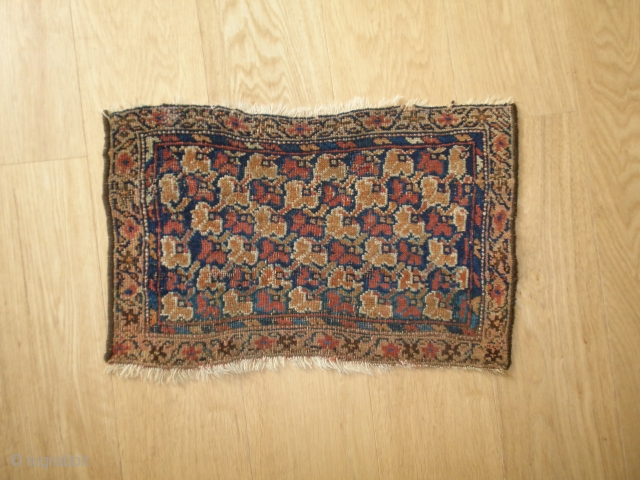 Afshar bagface 19 th century 100 % nutural dyed wool

size 51 x 32 cm                   