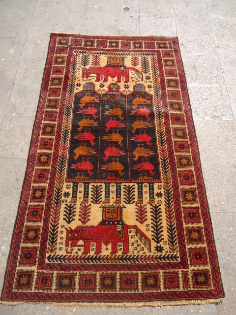 Pictureal Baluch Rug with very nice colors and design,good condition and fine weave.Size 6'1"*3'5".E.mail for more info.                