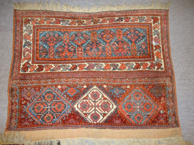 Big Kurd Jaf with very nice colours and excellent condition,fine weave.Ready for the display.                   