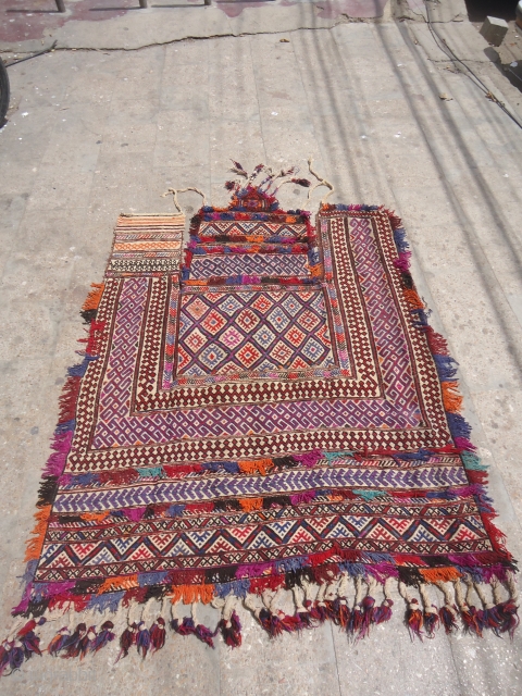 Northwest Persia Complete Camel Trapping,with beautiful colors and design,excellent condition,Very extra ordinary pce.E.mail for more info.                 