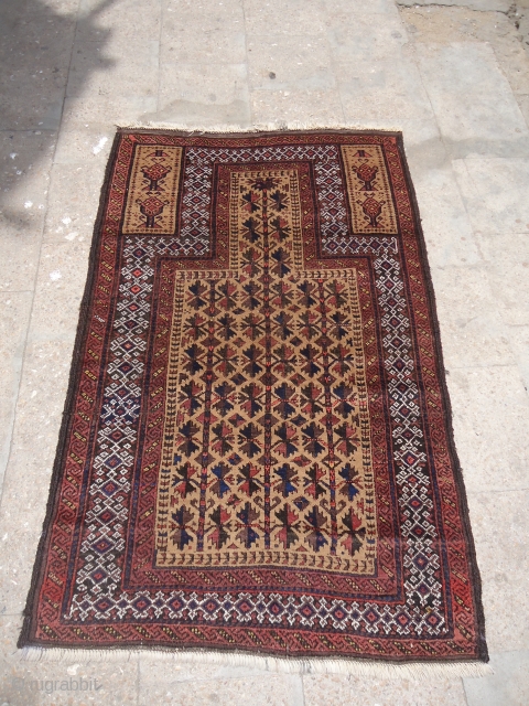 Pretty Baluch Prayer Rug with very good desigen and condition,good age and colors,fine weave,very nice desigen.Size 4'9"*3.E.mail for more info and pics.           